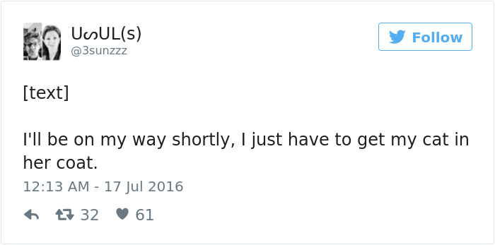 Best Cat Tweets Of 2016