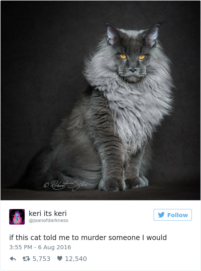 Funniest Women Tweets 2016