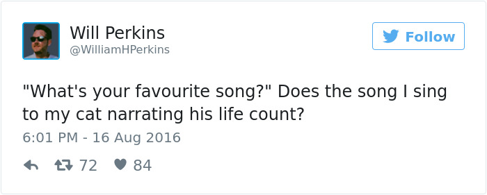 Best Cat Tweets Of 2016