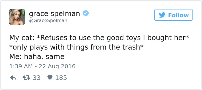 Best Cat Tweets Of 2016