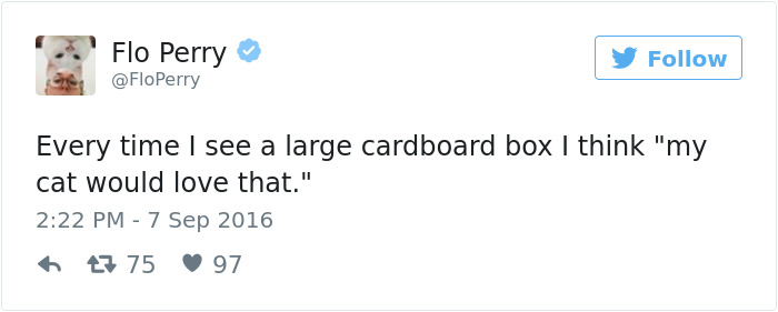 Best Cat Tweets Of 2016