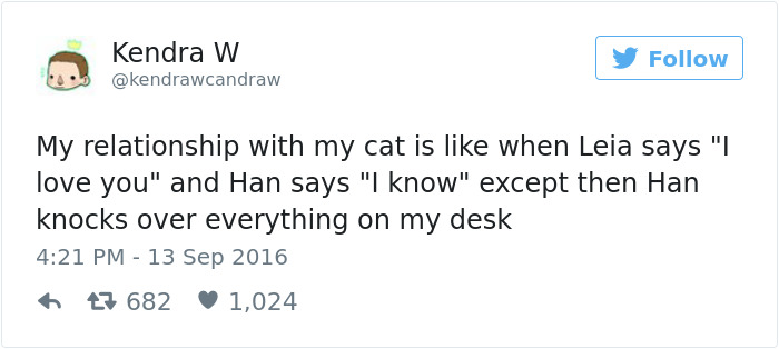 Best Cat Tweets Of 2016