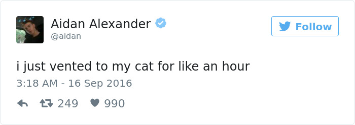 Best Cat Tweets Of 2016