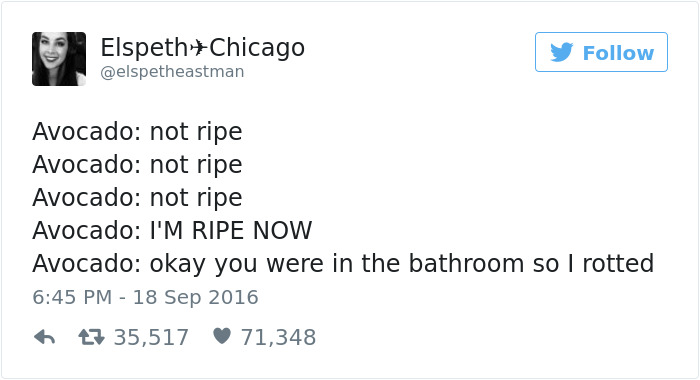 Funniest Women Tweets 2016