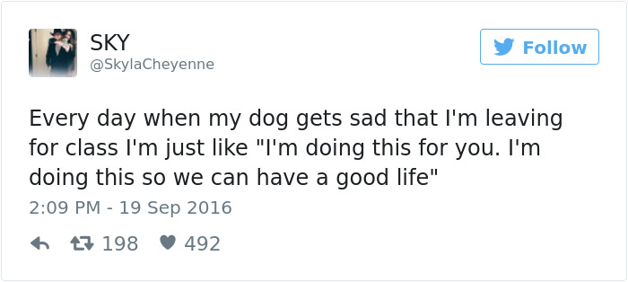Dog Tweets