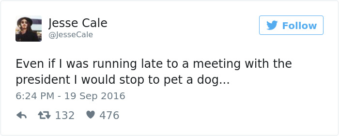 Dog Tweets