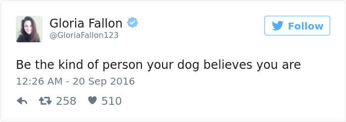 Funniest Women Tweets 2016