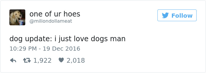 Dog Tweets