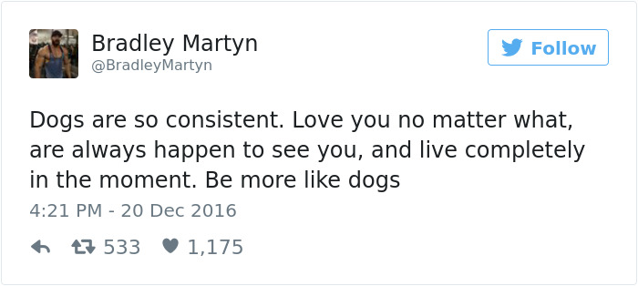 Dog Tweets