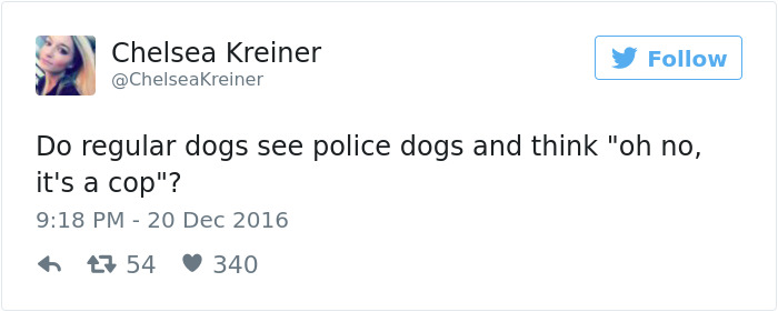 Dog Tweets