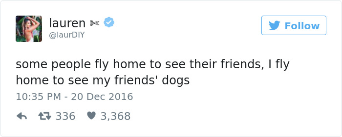 Dog Tweets
