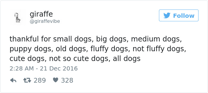 Dog Tweets