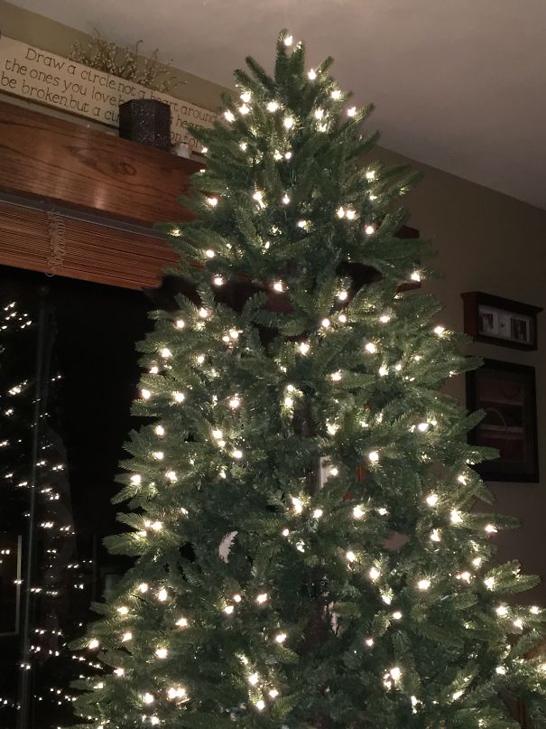 Christmas tree with lights safely positioned high to protect from pets.