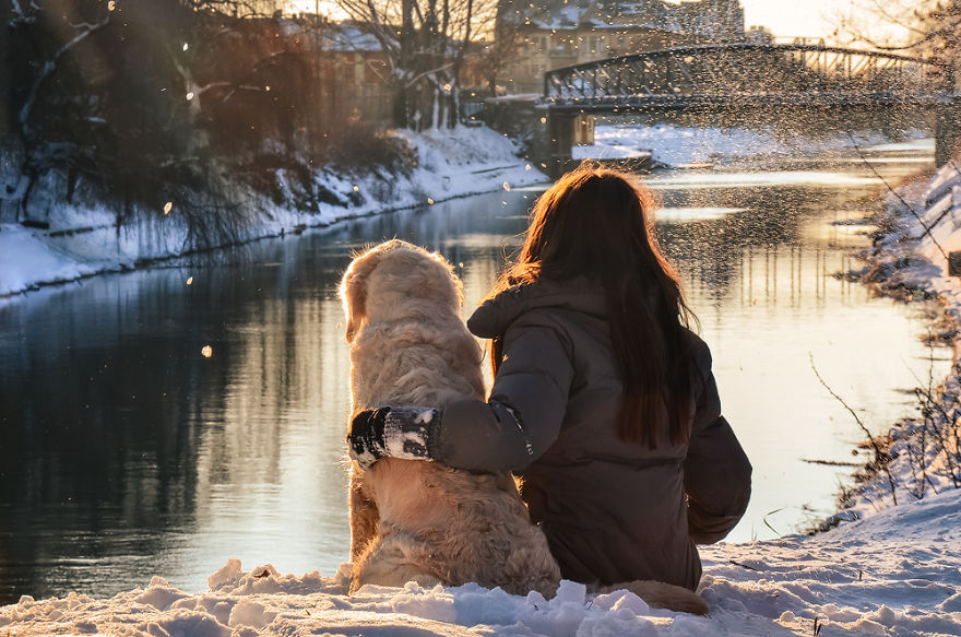 I Travel Romania With My Golden Retriever Geena Who Is The Best Travel Companion I Travel Romania With My Golden Retriever Geena Who Is The Best Travel Companion