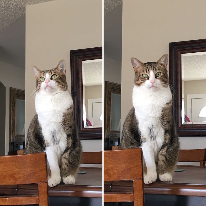 Before & After Being Called A Good Boy