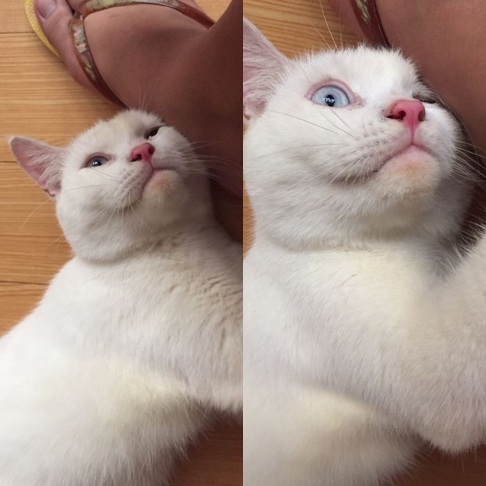 Even Her Couldn't Believe That She Was A Good Girl :))