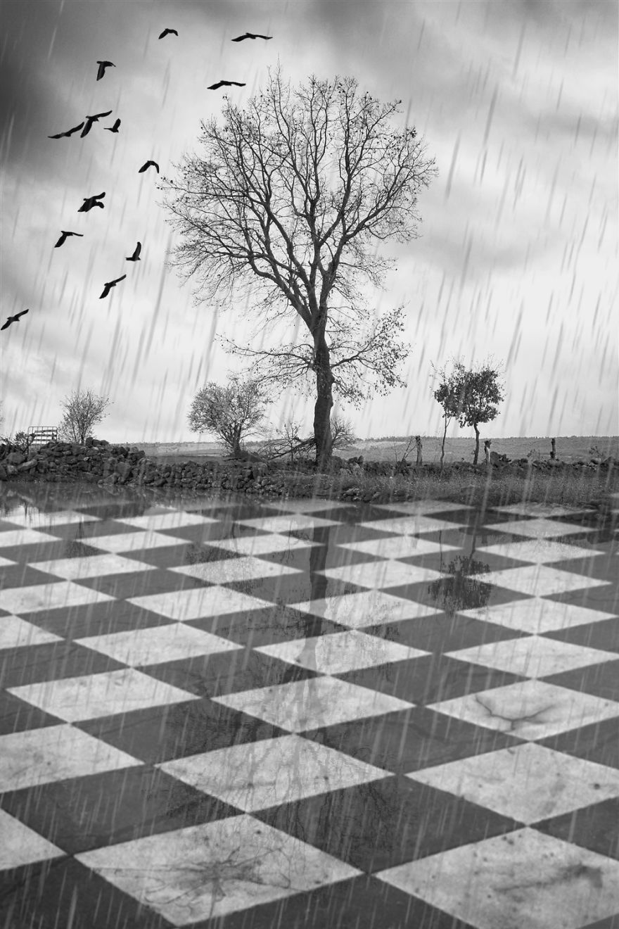 My Digital Manipulations