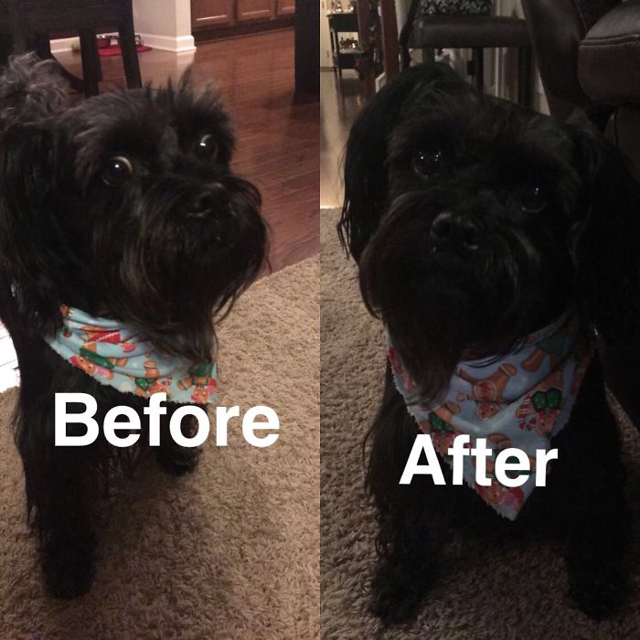 After Being Told She's A Good Girl