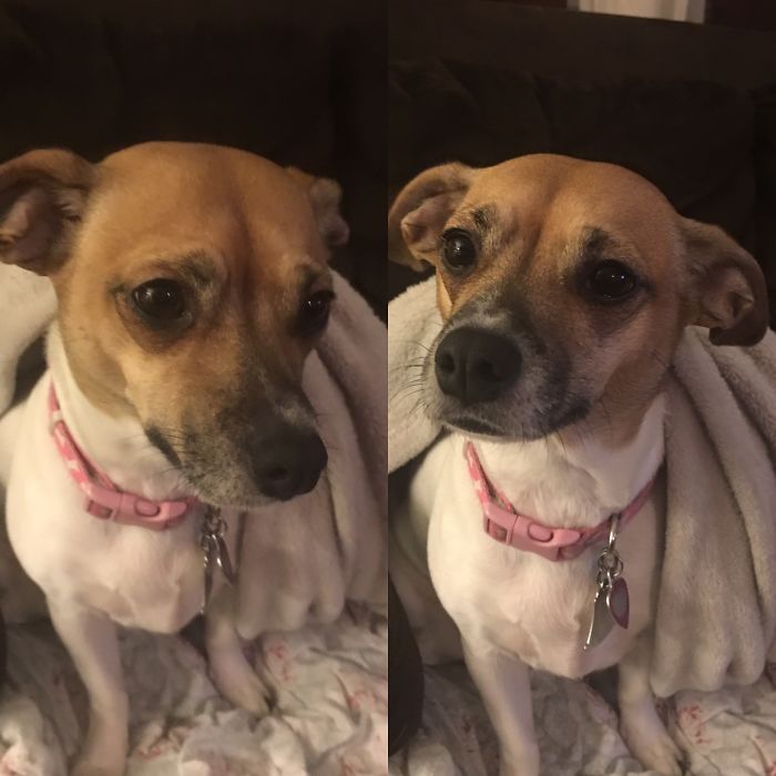 Me: Good Girl!!! Her: I Already Know......