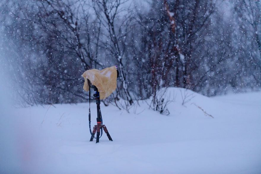 Norway. The Hardest Conditions I Have Ever Taken Photos In Norway. The Hardest Conditions I Have Ever Taken Photos In