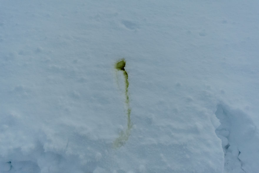 Norway. The Hardest Conditions I Have Ever Taken Photos In Norway. The Hardest Conditions I Have Ever Taken Photos In