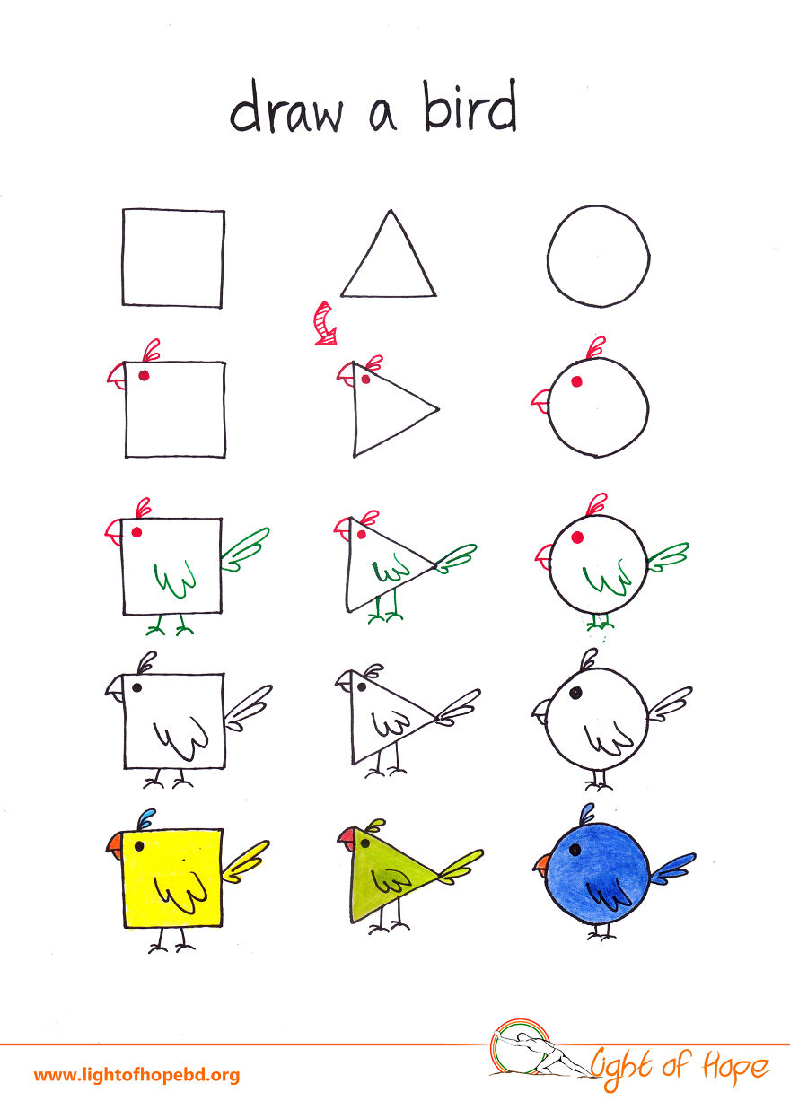 Step-by-step drawing showing how to draw any animal using basic shapes like square, triangle, and circle.