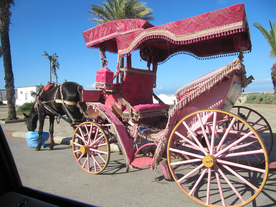 Asilah City Of Colours
