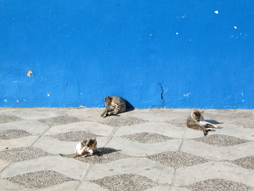 Asilah City Of Colours