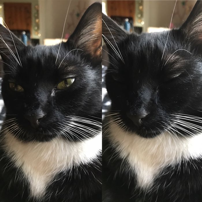 Before And After Being Called A Good Boy