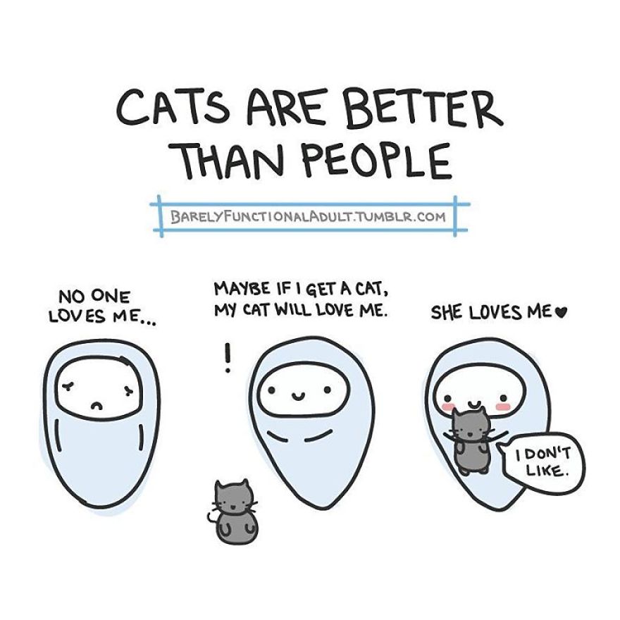 Barely Functional Adult Meichi