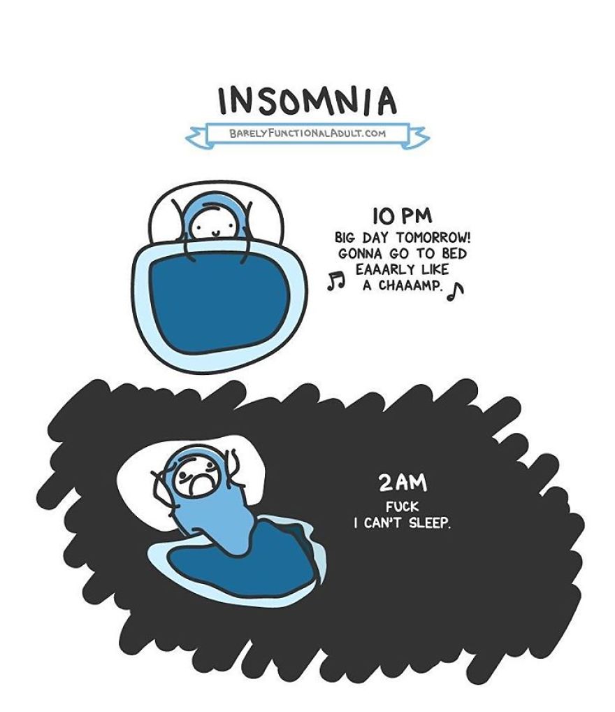 Barely Functional Adult Meichi