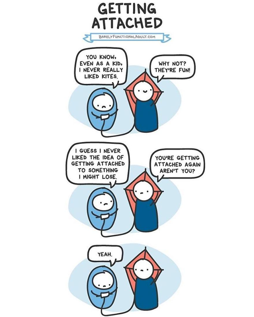 Barely Functional Adult Meichi