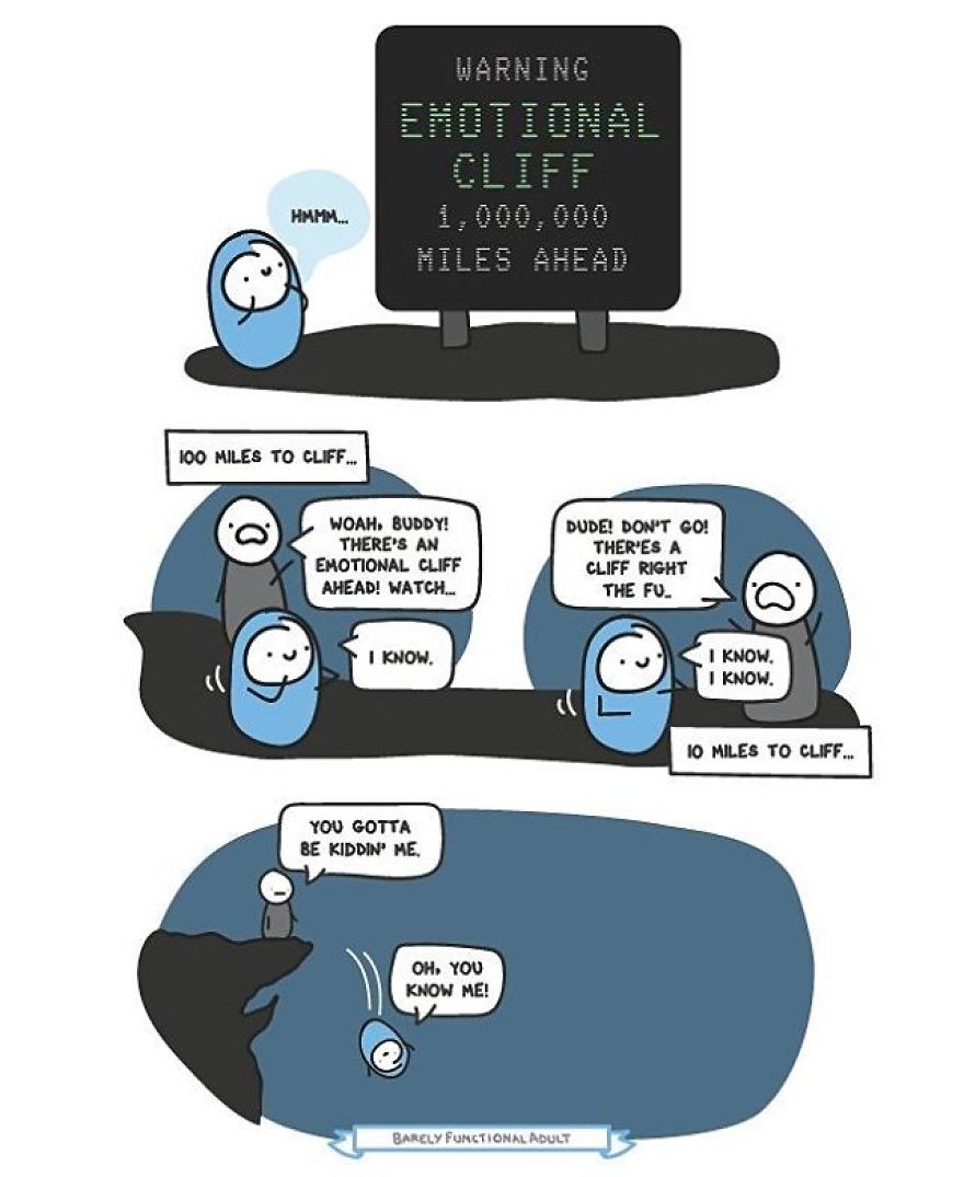 Barely Functional Adult Meichi