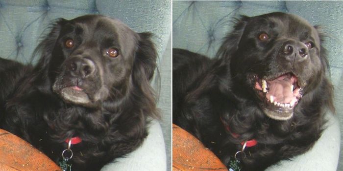 Bou Before When He Thought He Was A Bad Boy And After When He Was Called A Good Boy.