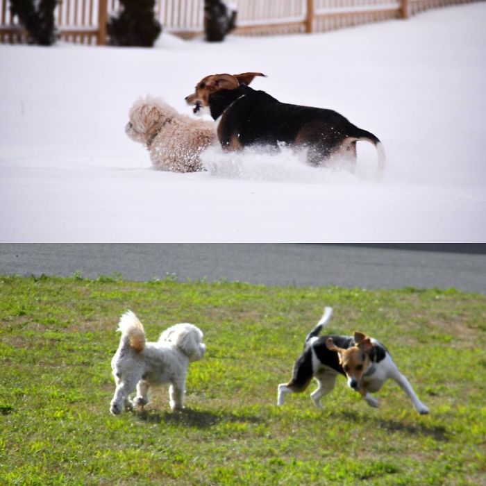 Young And Restless.. Forever