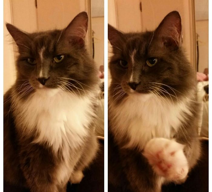 Before And After Being Called A "good Boy"