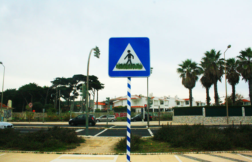 Street Artist Brings Nature Back To Cities