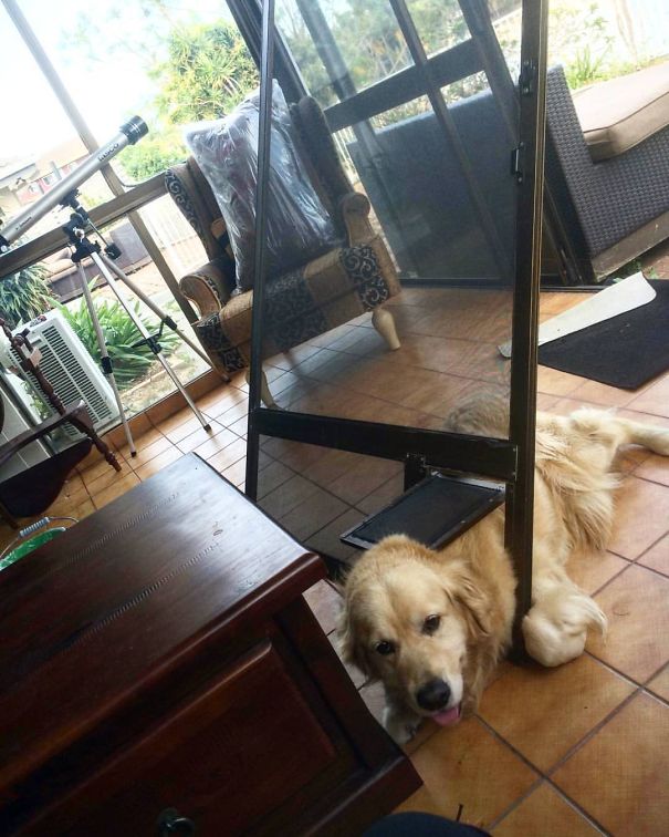 Nailed It! And Not Hurt At All!