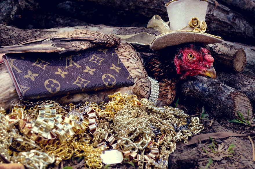 I Spent 2 Weeks Photographing Animals With Human Acessories I Spent 2 Weeks Photographing Animals With Human Acessories