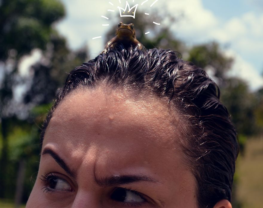 I Spent 2 Weeks Photographing Animals With Human Acessories