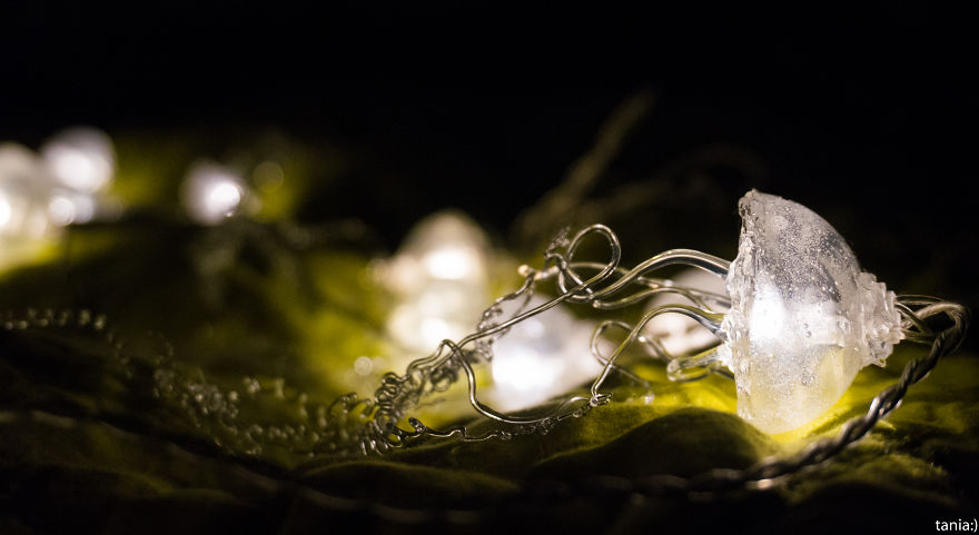 I Created A Transparent Floating Jellyfish I Created A Transparent Floating Jellyfish