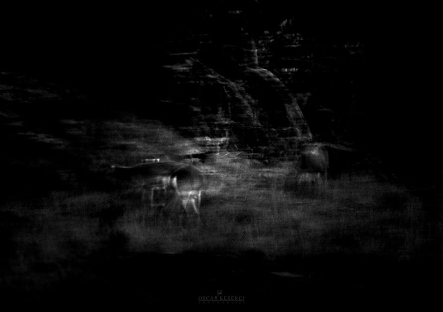 I Used Long Exposure Technique For Creating My Atmospheric Photography Project ''vanish''. I Used Long Exposure Technique For Creating My Atmospheric Photography Project ''vanish''.