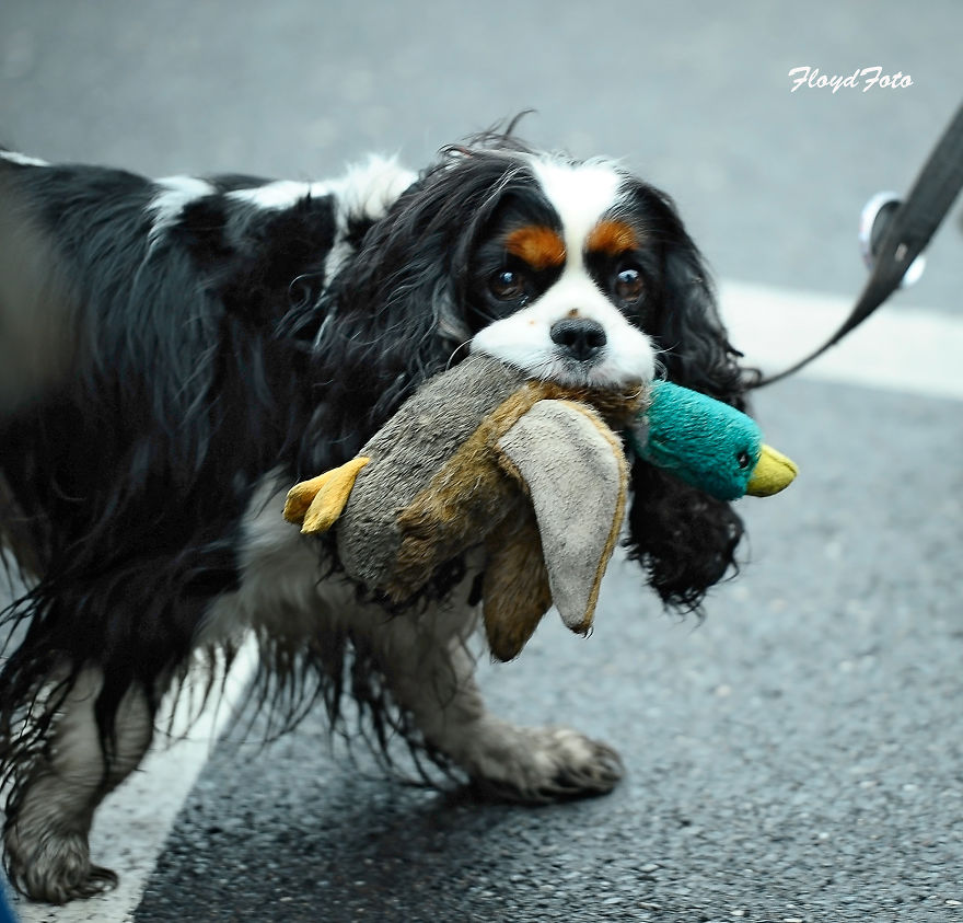 After 35 Years , Another December In Poland , Must See Some Pics. People Say No!!!!