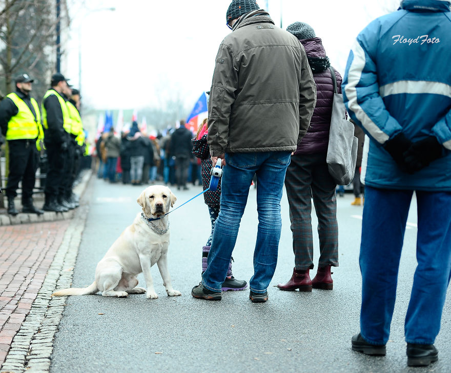 After 35 Years , Another December In Poland , Must See Some Pics. People Say No!!!!