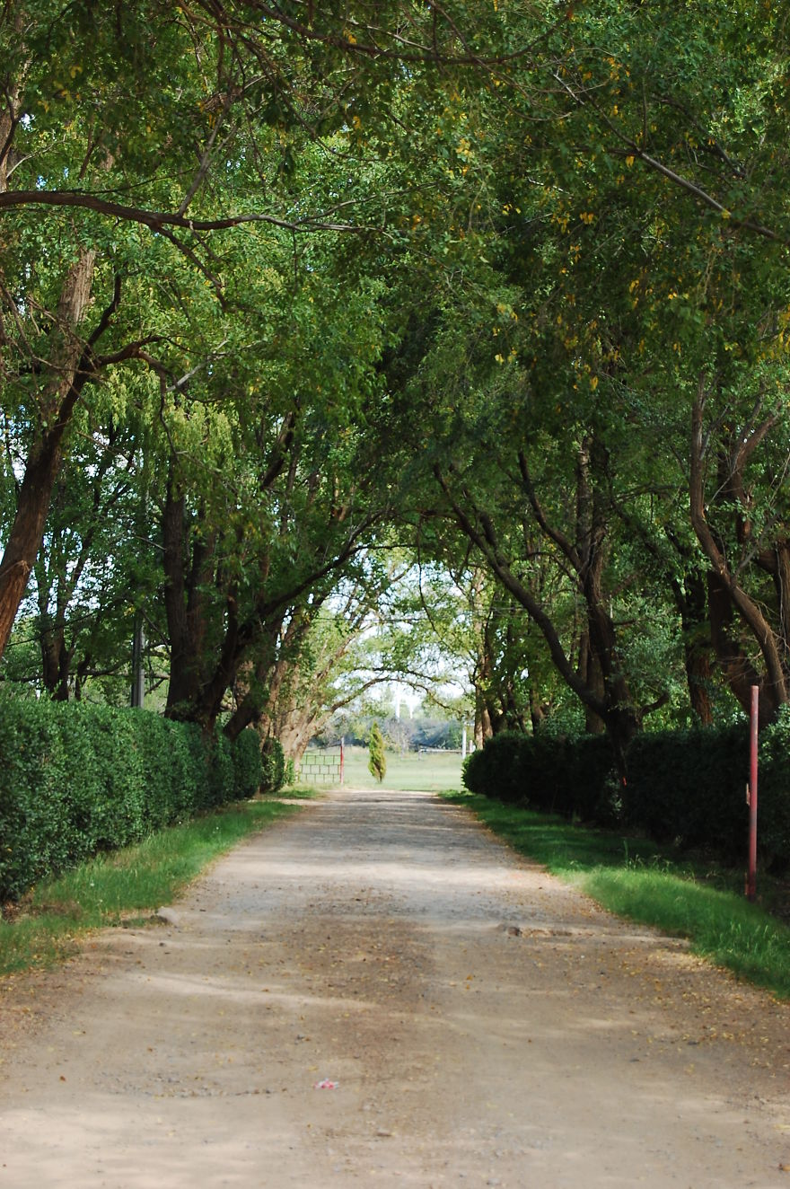 I Travelled 50 Years Back In Time And I Found This