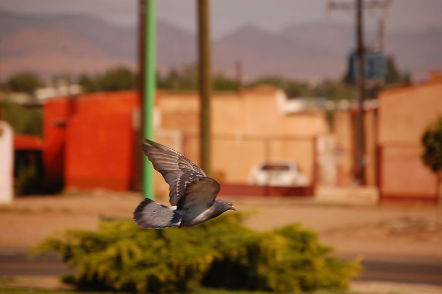 I Lived In The Wild West Of Mexico For Four Years I Lived In The Wild West Of Mexico For Four Years