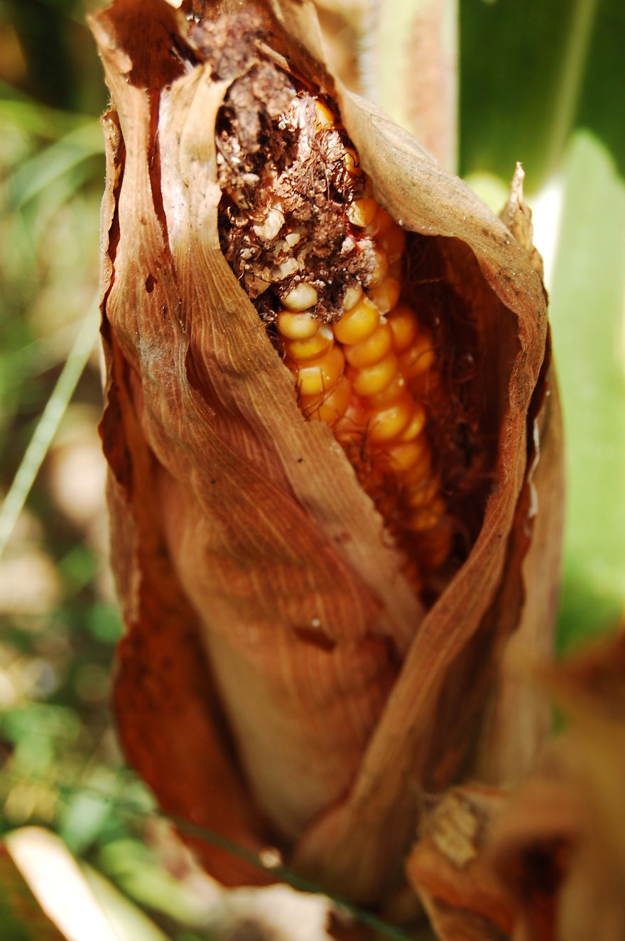 I Travelled 50 Years Back In Time And I Found This