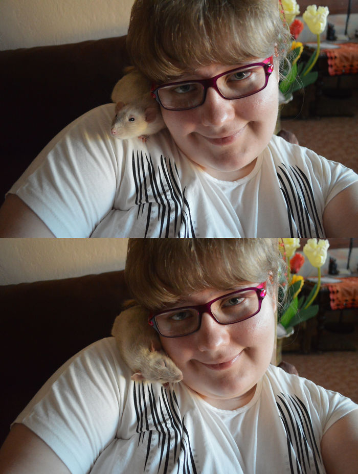 Before And After Being Called A Good Boy