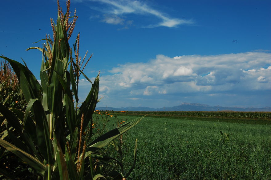 I Travelled 50 Years Back In Time And I Found This