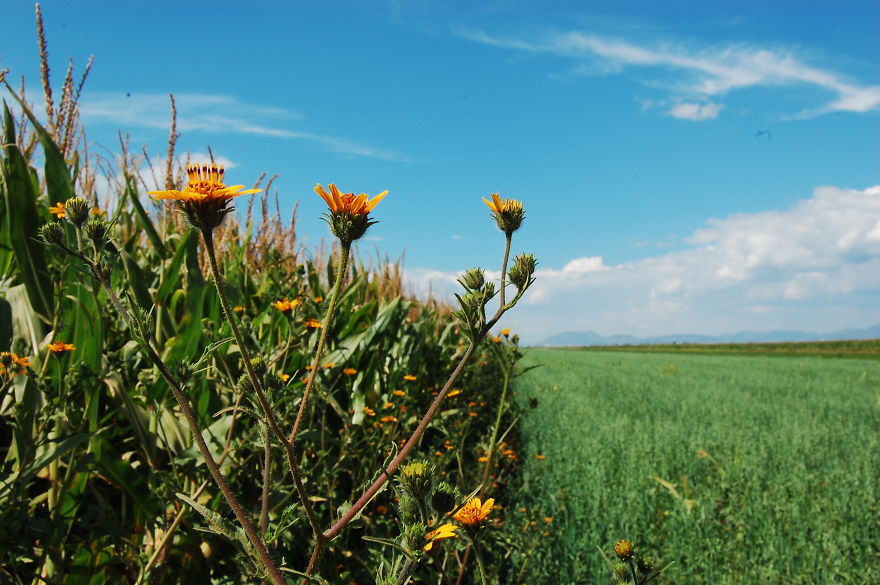 I Travelled 50 Years Back In Time And I Found This